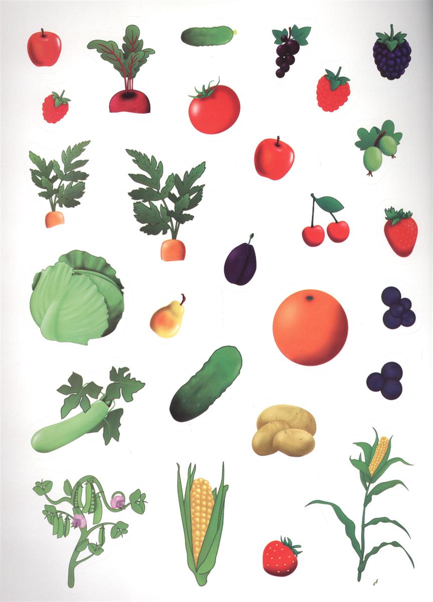 Обучающая книжка с наклейками – Фрукты и овощи  